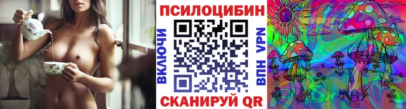 наркотики  Пошехонье  Галлюциногенные грибы Psilocybe 